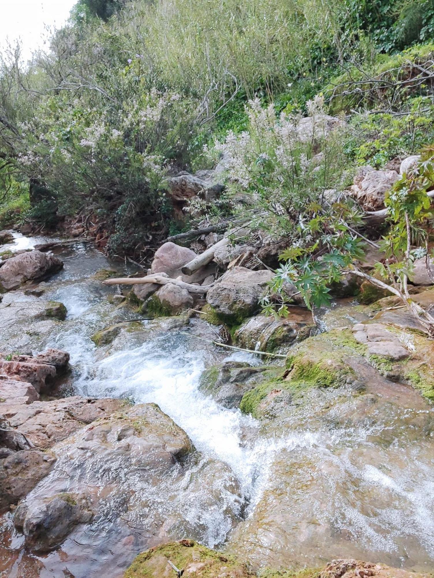 Quinta Cosy Villa Paderne  Dış mekan fotoğraf